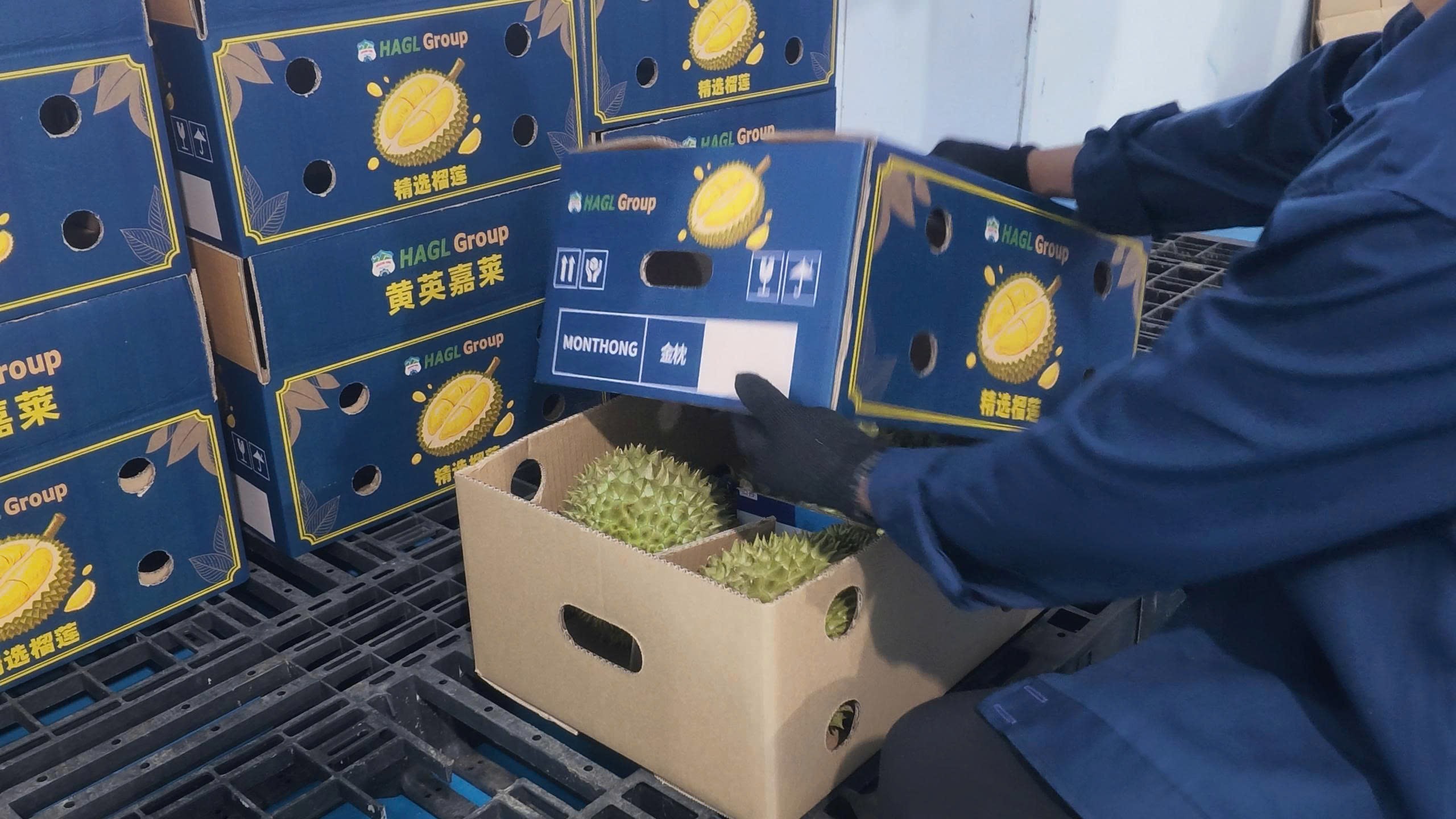 Sơ chế đóng gói sầu riêng 5