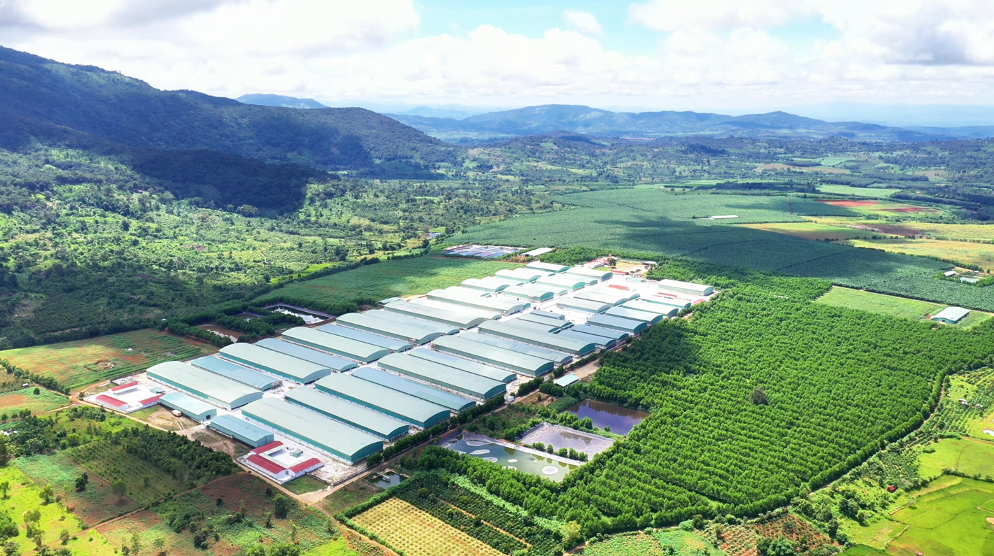 Tuân thủ quy định về môi trường